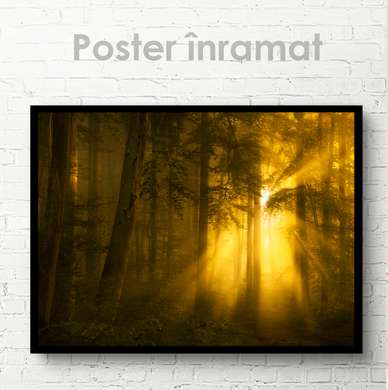 Poster - Razele solare pătrund în adâncurile pădurii, 45 x 30 см, Panza pe cadru, Natură