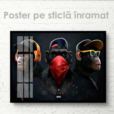 Poster, Maimuțe glam, 60 x 30 см, Panza pe cadru, Animale