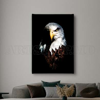 Poster - the Eagle, 60 x 90 см, Framed poster on glass, Animals