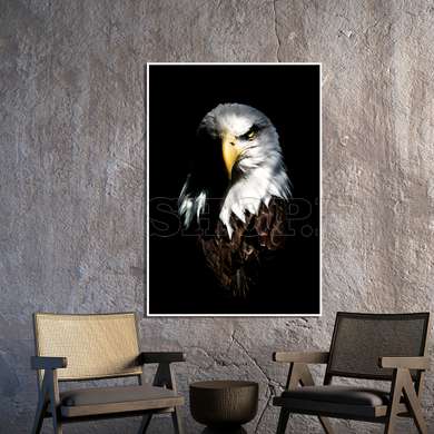 Poster - the Eagle, 60 x 90 см, Framed poster on glass, Animals