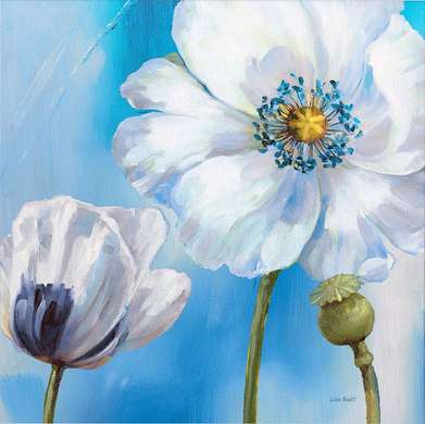 Poster - White poppy flower, 40 x 40 см, Canvas on frame