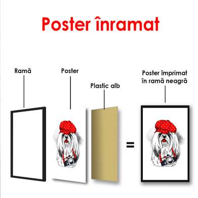 Poster - Cățeluș alb cu o șapcă roșie, 60 x 90 см, Poster înrămat