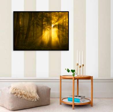 Poster - Sun in the forest, 45 x 30 см, Canvas on frame