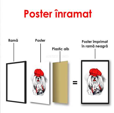 Poster - Cățeluș alb cu o șapcă roșie, 60 x 90 см, Poster inramat pe sticla, Minimalism