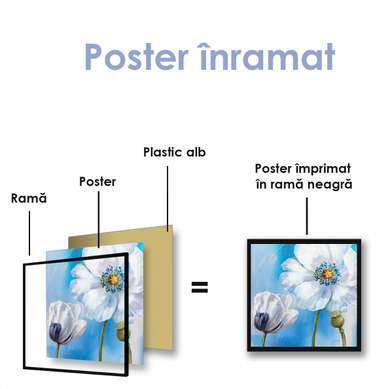 Poster - Floare albă de mac, 100 x 100 см, Poster inramat pe sticla