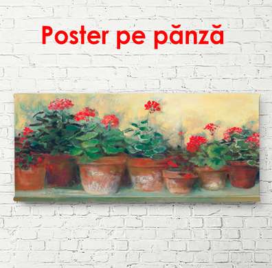 Постер - Горшки с красными цветами на подоконнике, 90 x 45 см, Постер на Стекле в раме