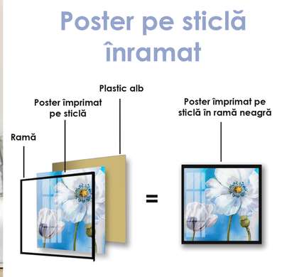 Poster - Floare albă de mac, 100 x 100 см, Poster inramat pe sticla