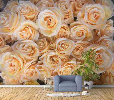 Wall Mural - Beige roses