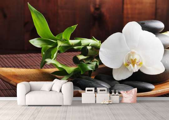 Wall Mural - White orchid and black stones