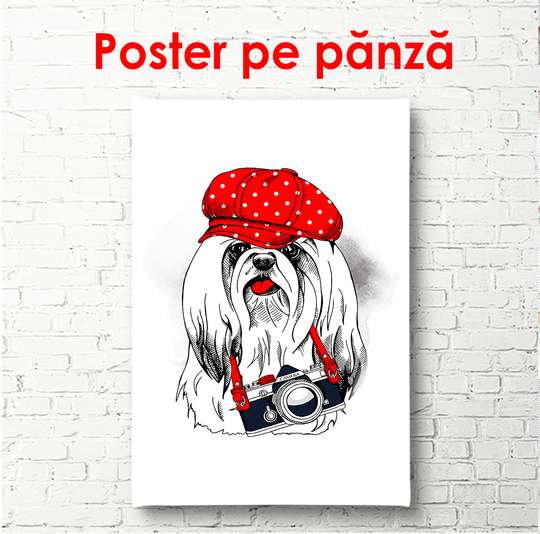 Постер - Белая маленькая собака с красной шапочкой, 60 x 90 см, Постер в раме