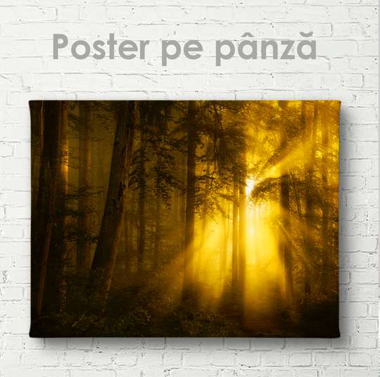 Постер - Солнце в лесу, 45 x 30 см, Холст на подрамнике