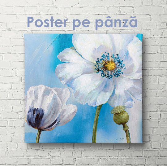 Poster, Floare albă de mac, 40 x 40 см, Panza pe cadru