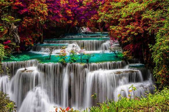 Фотообои - Красивый водопад среди деревьев