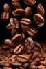 Poster - Coffee Beans, 30 x 45 см, Canvas on frame, Food and Drinks