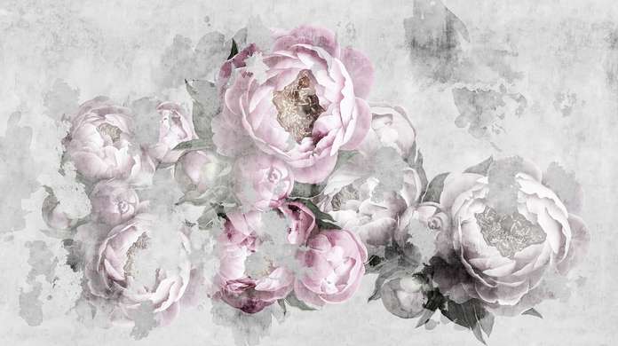 Fototapet - Bujori roz pal pe fundal gri