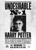 Poster - Se cauta… Harry Potter, 60 x 90 см, Poster inramat pe sticla, Citate