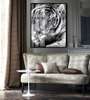 Poster, Black and white tiger, 60 x 90 см, Framed poster on glass