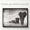 Постер, Стая слонов, 90 x 60 см, Постер на Стекле в раме