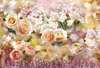 Wall mural - Soft rose flowers