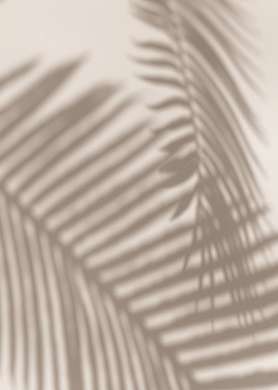 Постер - Тень тропических листьев, 60 x 90 см, Постер на Стекле в раме