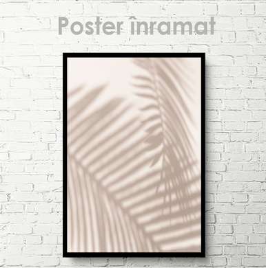 Poster - Tropical leaf shadow, 30 x 45 см, Canvas on frame