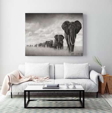 Poster, Turma de elefanți, 90 x 60 см, Poster inramat pe sticla
