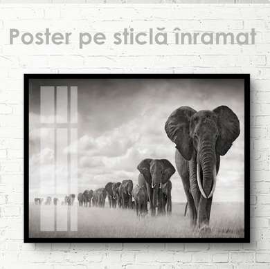 Poster, Flock of elephants, 45 x 30 см, Canvas on frame