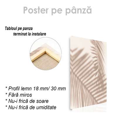Poster - Tropical leaf shadow, 60 x 90 см, Framed poster on glass