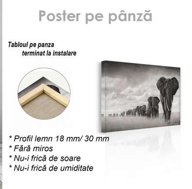Poster, Flock of elephants, 90 x 60 см, Framed poster on glass