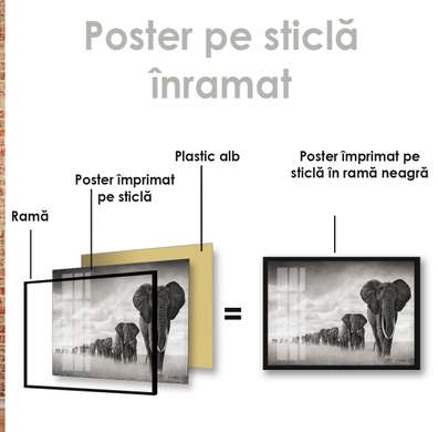 Poster, Turma de elefanți, 90 x 60 см, Poster inramat pe sticla