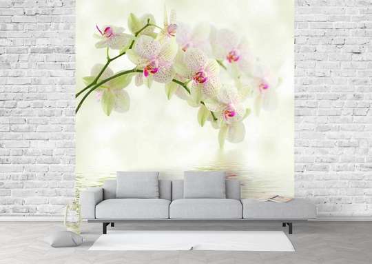 Wall Mural - White orchids by the water