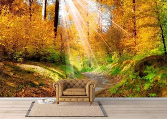 Wall Mural - Rays of the sun in the forest