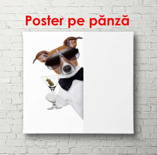 Постер, Собака с бокалом на белом фоне, 100 x 100 см, Постер в раме, Животные