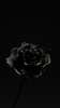 Постер - Эстетическая черная роза, 30 x 60 см, Холст на подрамнике