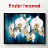 Poster - White orchids on a blue background, 90 x 45 см, Framed poster, Flowers