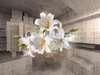 3D Wallpaper - White lily on the background of a wooden tunnel.