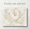 Poster - Floare albă, 45 x 30 см, Panza pe cadru, Flori