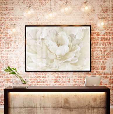 Poster - Floare albă, 45 x 30 см, Panza pe cadru, Flori