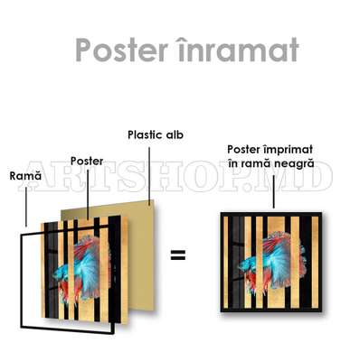 Постер, Синяя рыбка с красными плавниками, 40 x 40 см, Холст на подрамнике, Животные