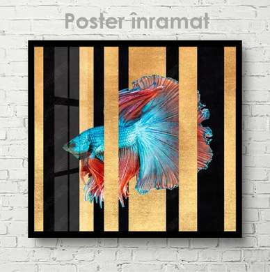 Постер, Синяя рыбка с красными плавниками, 40 x 40 см, Холст на подрамнике, Животные