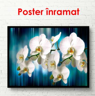 Постер - Белые орхидеи на синем фоне, 90 x 45 см, Постер в раме, Цветы