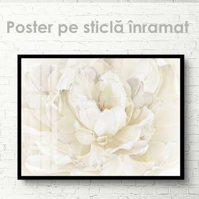 Poster - White flower, 45 x 30 см, Canvas on frame, Flowers