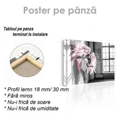Poster - Aripile roz 2, 45 x 30 см, Panza pe cadru, Nude