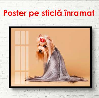 Постер, Йорк на бежевом фоне, 90 x 60 см, Постер в раме, Животные