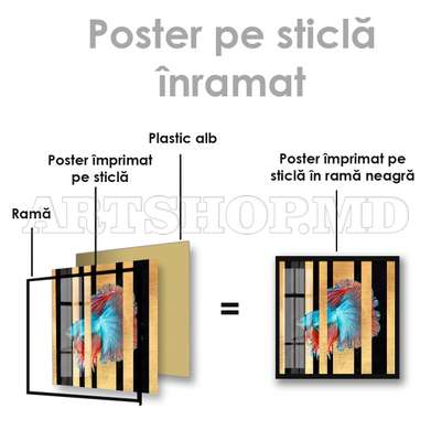 Постер, Синяя рыбка с красными плавниками, 40 x 40 см, Холст на подрамнике, Животные