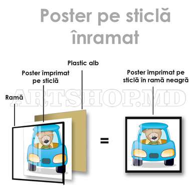 Poster - Bear driving a car, 100 x 100 см, Framed poster on glass, For Kids