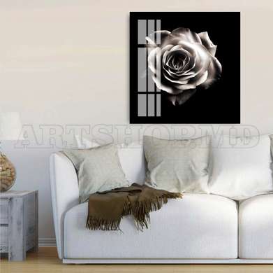 Poster - Trandafirul alb pe un fundal negru, 100 x 100 см, Poster inramat pe sticla, Flori