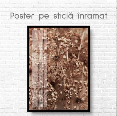 Постер - Осенний цветок, 60 x 90 см, Постер на Стекле в раме, Ботаника