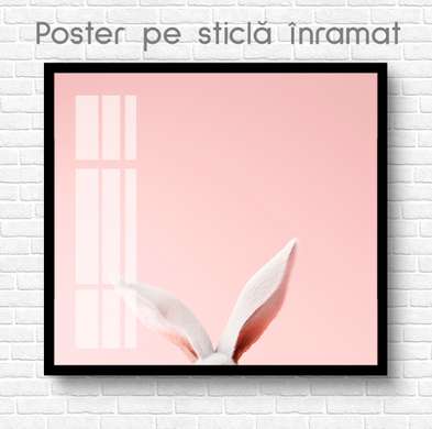 Poster, Ears, 100 x 100 см, Framed poster on glass, Animals