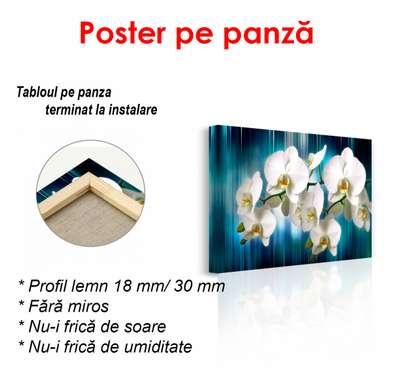 Постер - Белые орхидеи на синем фоне, 90 x 45 см, Постер в раме, Цветы